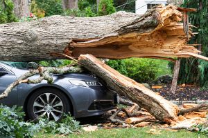 Hurricane-Helene-damaged-vehicles